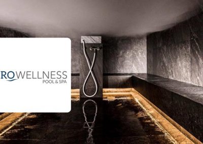 Pools & Spa-Anlagen